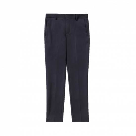 Everlane Italian wool suit pants