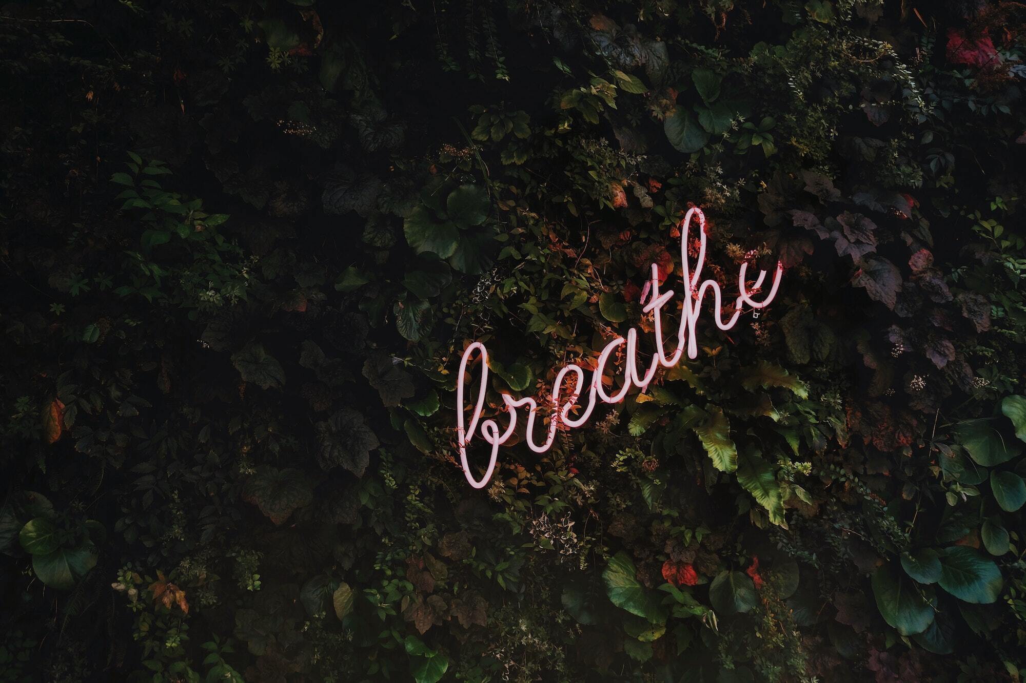 Neon "breathe" sign against foliage