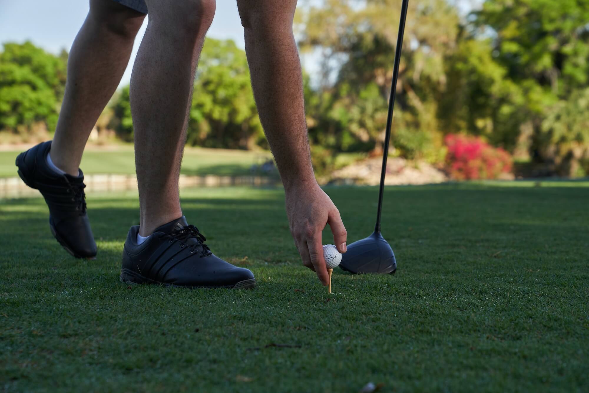 Man in golf shoes places golf ball on tee