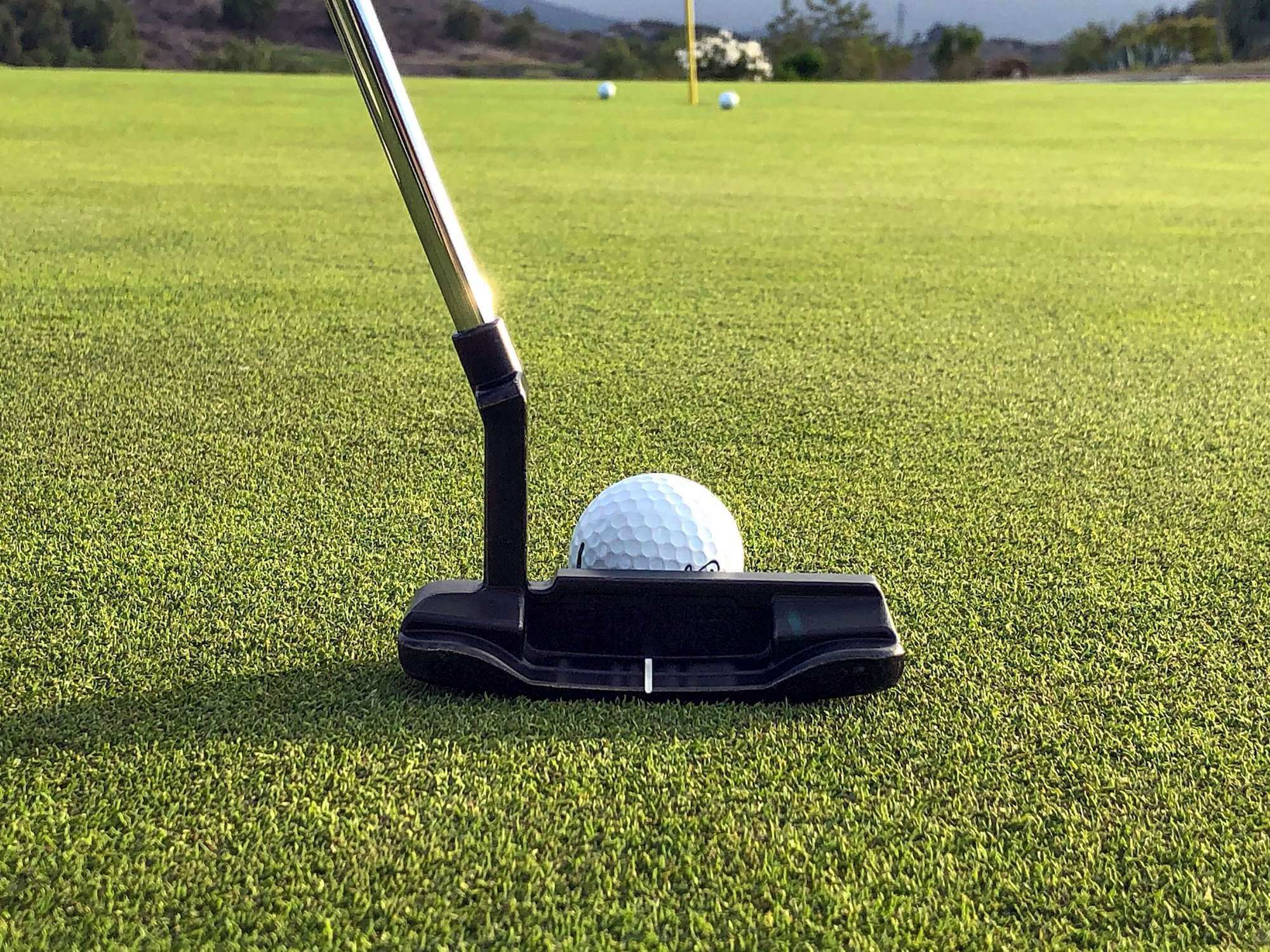 Blade Putter positioned next to golf ball on green