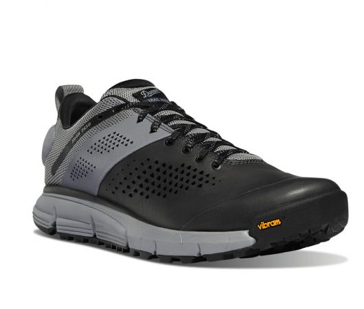 Danner Trail 2650 hiking shoe