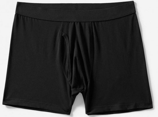 Everlane Uniform Boxer Brief